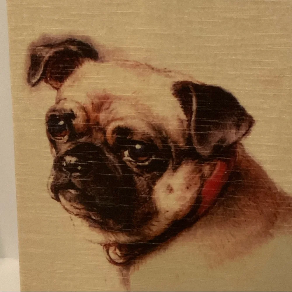 Sweet Pug - Picture 2 of 13